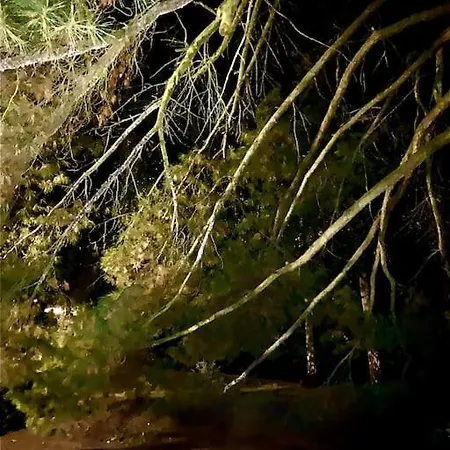 Manor House On The Danube Bend アパート *