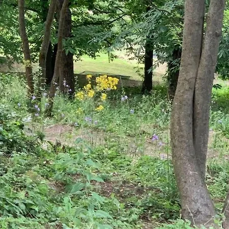 Manor House On The Danube Bend アパート Tahitófalu