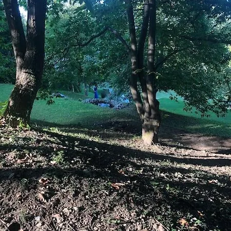 Manor House On The Danube Bend アパート