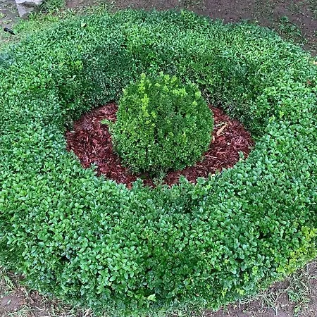 アパート Manor House On The Danube Bend