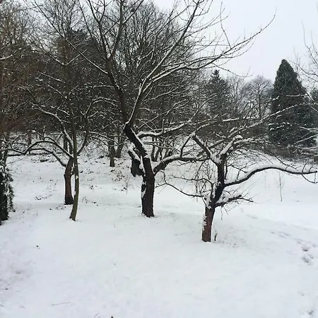 Manor House On The Danube Bend *