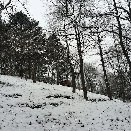 Manor House On The Danube Bend *