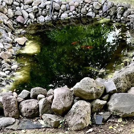 Manor House On The Danube Bend