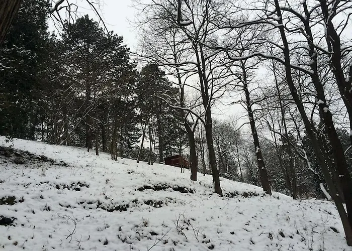 Manor House On The Danube Bend *