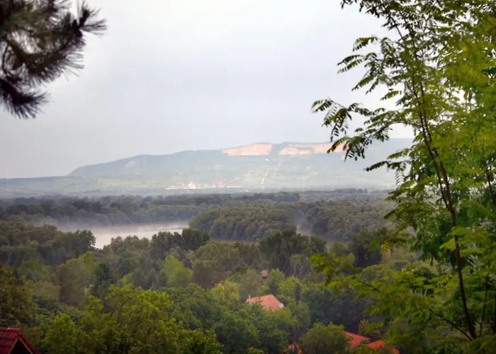Manor House On The Danube Bend 아파트